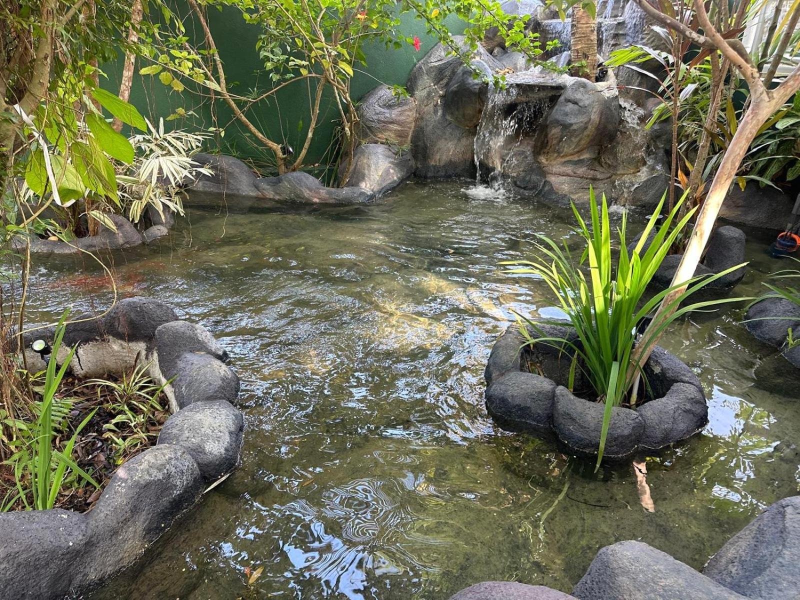 Aliya Lanka Hotel Beruwala Eksteriør billede